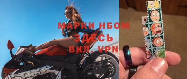 сатива Михайловка