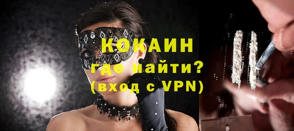 твердый Михайловск