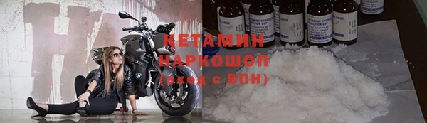 сатива Михайловка