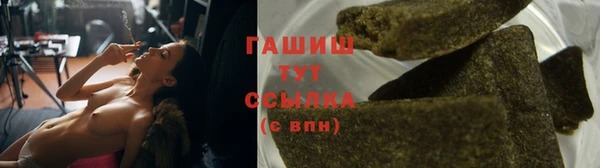 сатива Надым