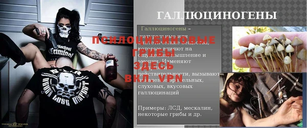 твердый Михайловск