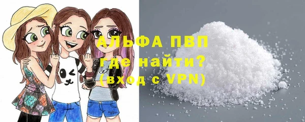 дживик Аша