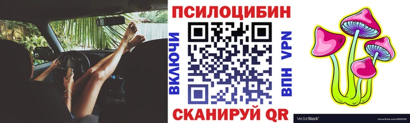 блэк спрут как войти где купить наркоту Псков Галлюциногенные грибы MAGIC MUSHROOMS