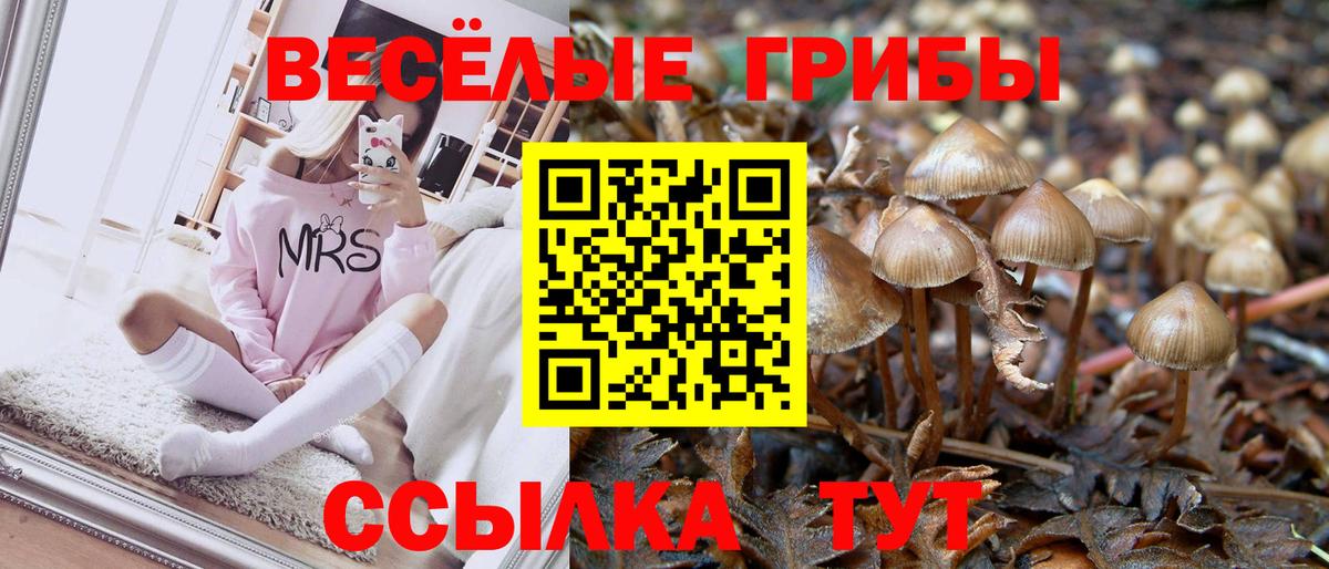Псилоцибиновые грибы Psilocybe  Вход с VPN  Псков 