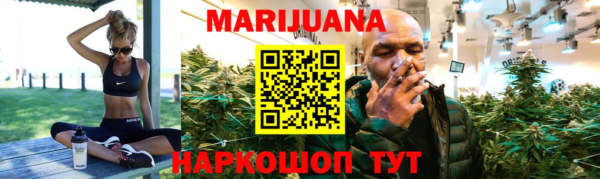 Канабис сатива Псков